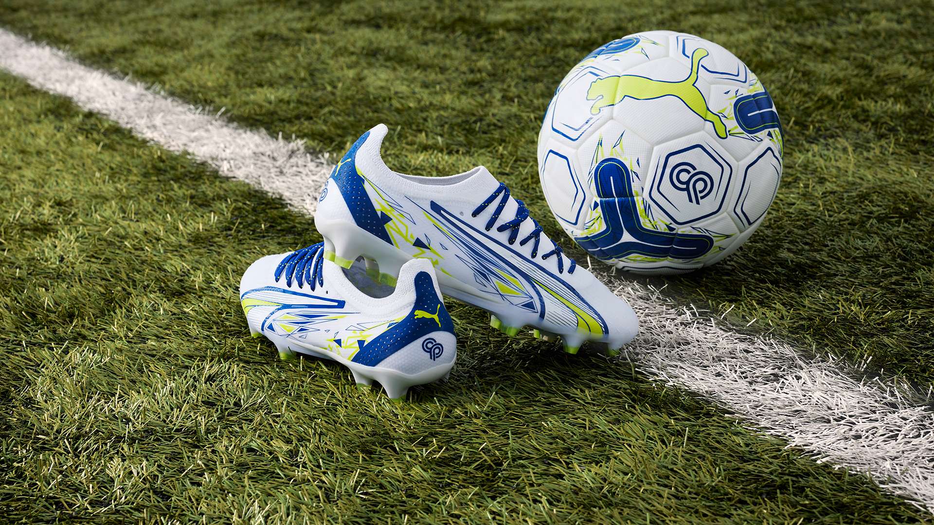 的强大统治 的强大统治