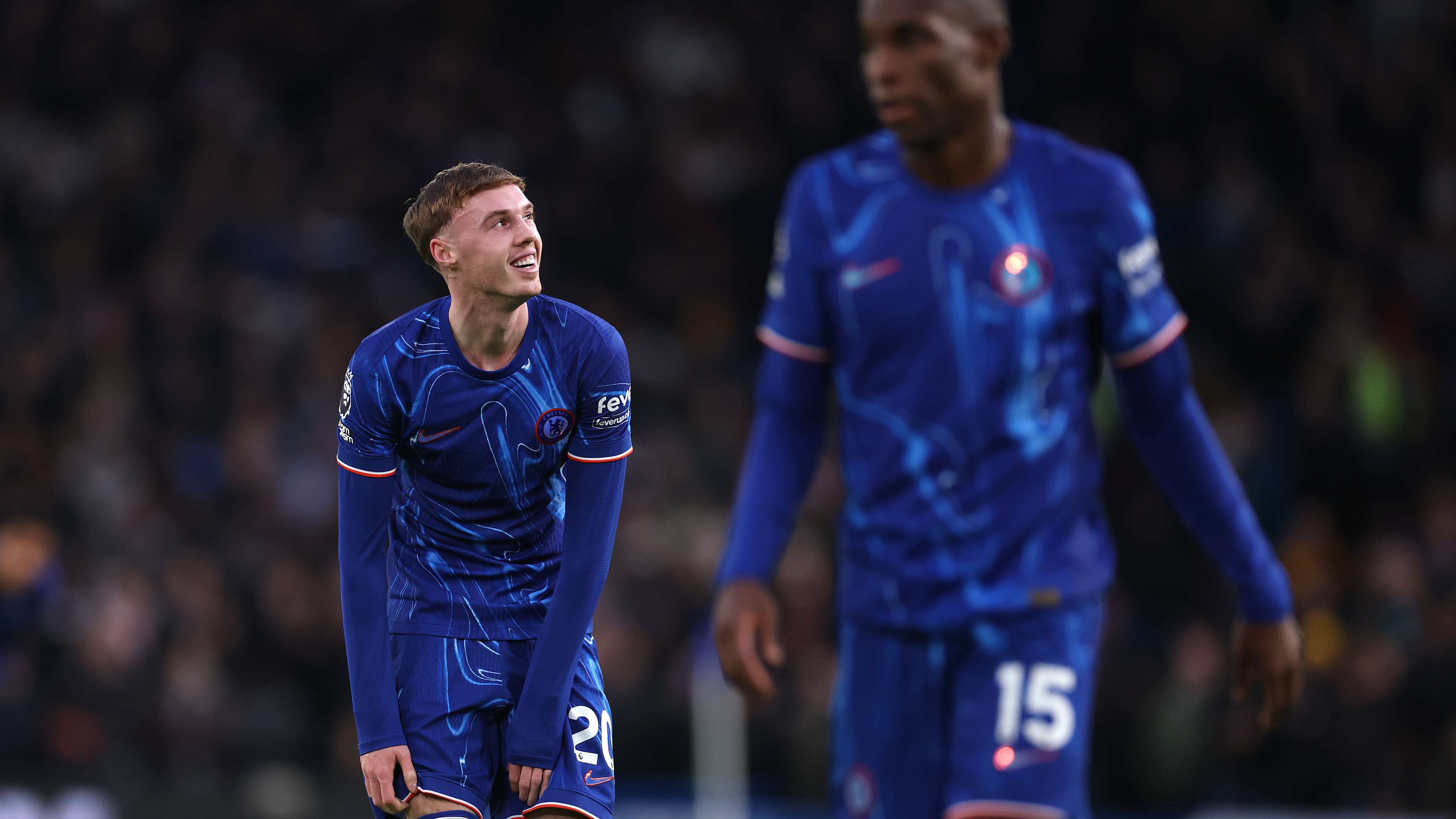 整体体系的 整体体系的