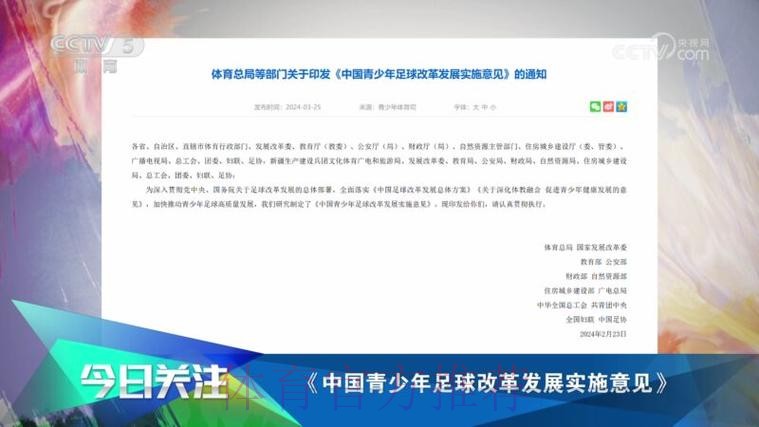 一张图了解《中国足球改革发展总体方案》印发一周年都做了啥?